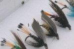 Boxed Trout Flies