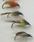 TROUT NYMPHS