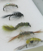 TROUT NYMPHS