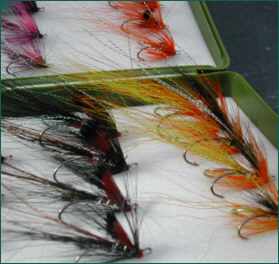 Ally's Shrimp and Cascade selection