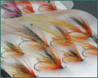 Ally's Shrimps and Cascades