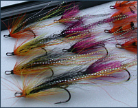 Ally's Shrimps and Cascades