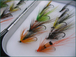 Salmon Fly Selection