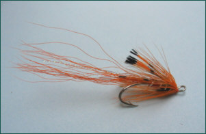 Ally's Shrimp