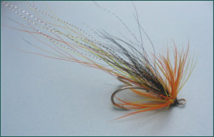 Cascade Shrimp