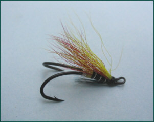 Garry salmon fly