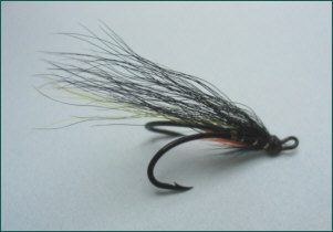 Munro's Killer salmon fly