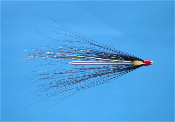 Black Needle Tube Fly