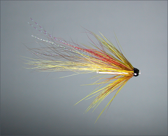 Anagach Shrimp salmon tube fly