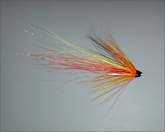 Cascade Shrimp salmon tube fly