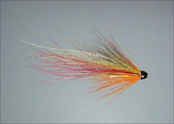 Moray Shrimp salmon tube fly