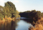 River Earn, Templemill - Salmon, sea trout, brown trout and grayling fishing