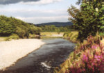 River Nith, Thornhill - Salmon and sea trout fishing.