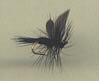 Trout Fly - Black Gnat