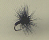 Trout Fly - Black Spider