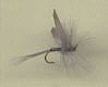 Trout Fly - Blue Quill