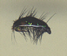 Trout Nymph - Black Epoxy Beetle