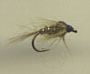 Trout Nymph - Olive Nymph