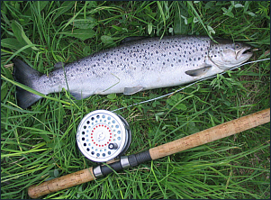 Fly Fishing Articles - Sea Trout