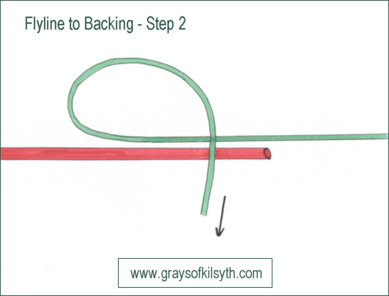 attaching fly line to backing line - step 2