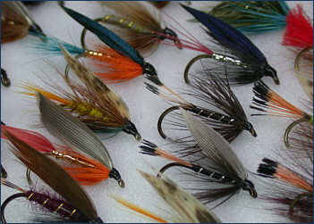 Trout Flies