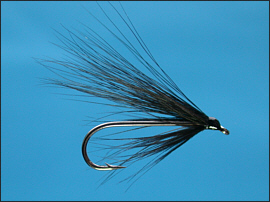 Simple Sea Trout Fly