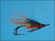 A Thunder and Lightning salmon fly double