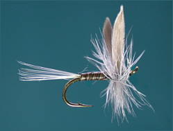 Dry Fishing Flies Trout - Troutflies UK