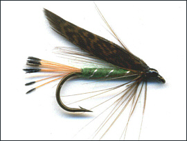 Grouse & Green Trout Fly