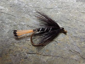 Black Pennell Trout Fly
